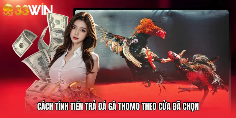 Cách tính tiền trả Đá gà Thomo theo cửa đã chọn