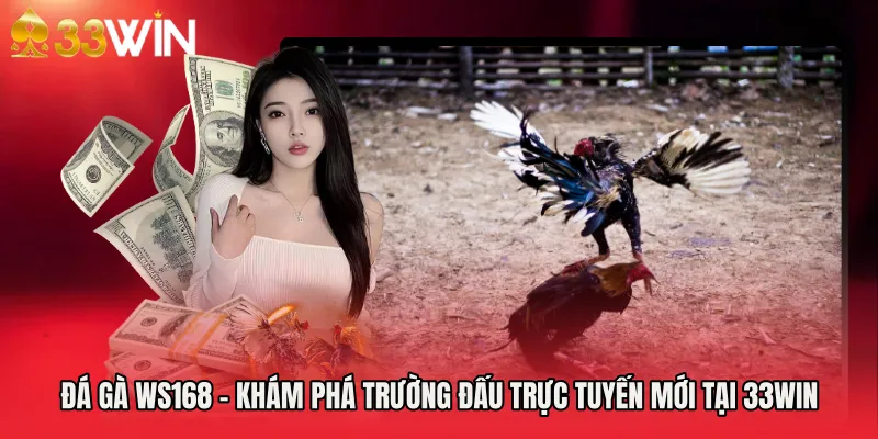Đá Gà WS168 - Khám Phá Trường Đấu Trực Tuyến Mới Tại 33WIN