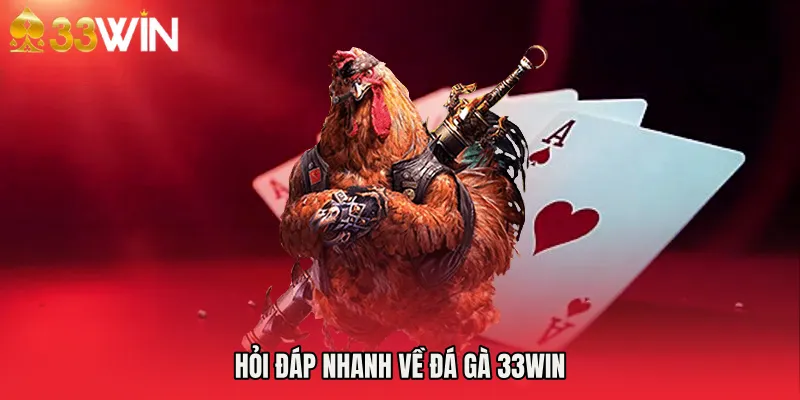 Hỏi đáp nhanh về đá gà 33WIN