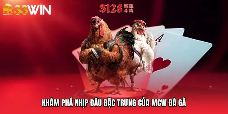 Khám phá nhịp đấu đặc trưng của Mcw đá gà