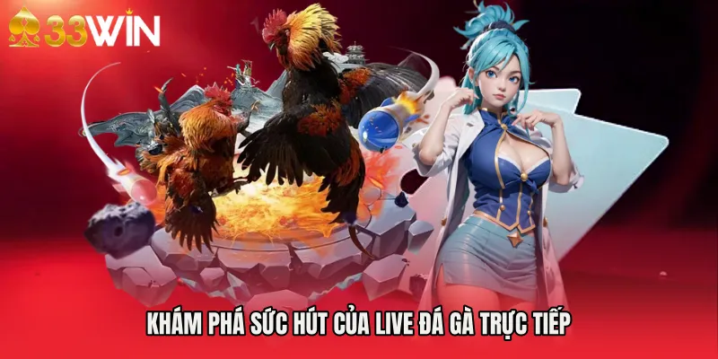 Khám phá sức hút của Live đá gà trực tiếp