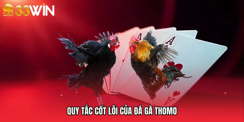 Quy tắc cốt lõi của Đá gà Thomo