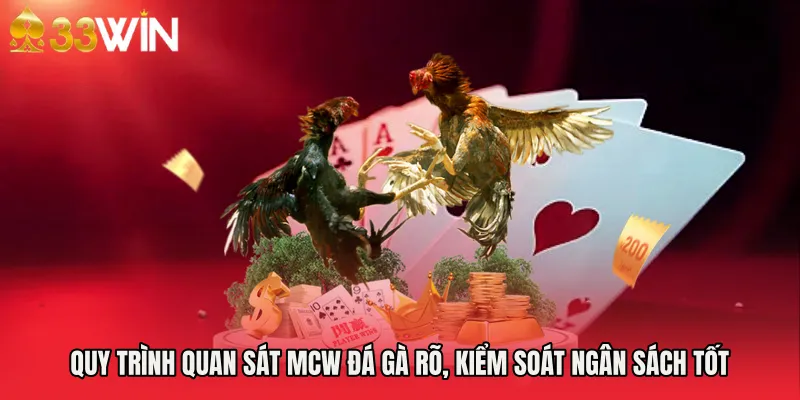 Quy trình quan sát Mcw đá gà rõ, kiểm soát ngân sách tốt